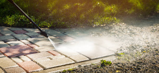 Solar Panel Cleaning